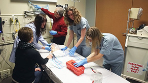 Care team works around simulated environment