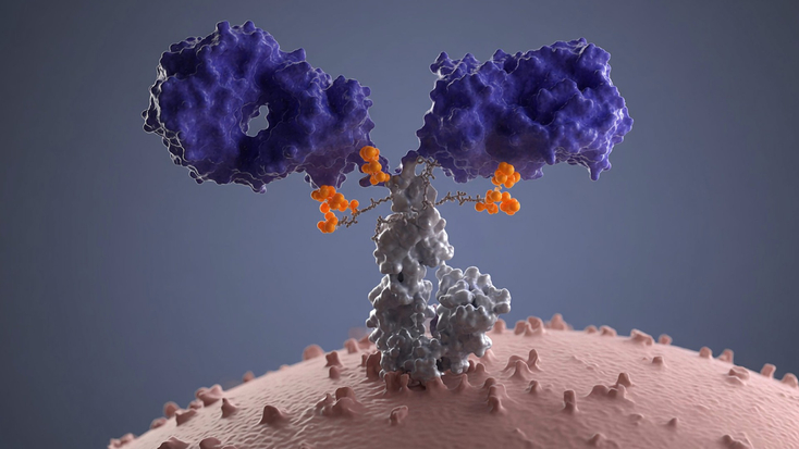 cancer-medical-oncology-Neuroendoctine.jpg