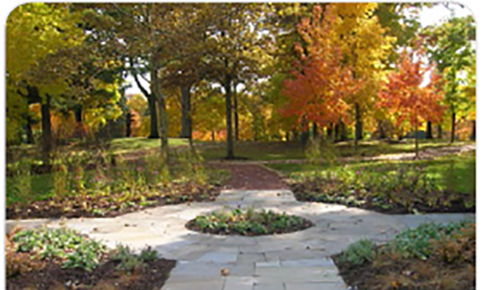 Foundation Walking Path