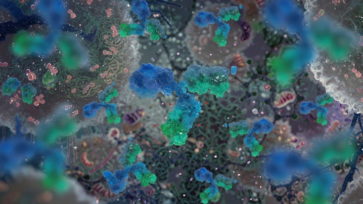 Microscopic illustration of antibodies binding among advanced lung cancer cells and surrounding tissue.