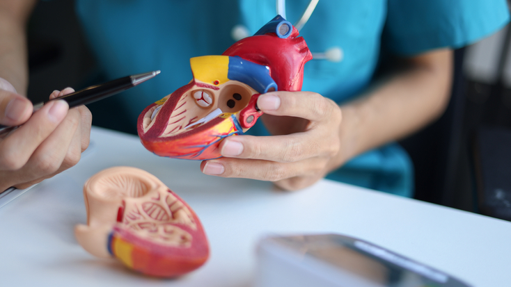 cvi-triclip-2693785793.jpg
