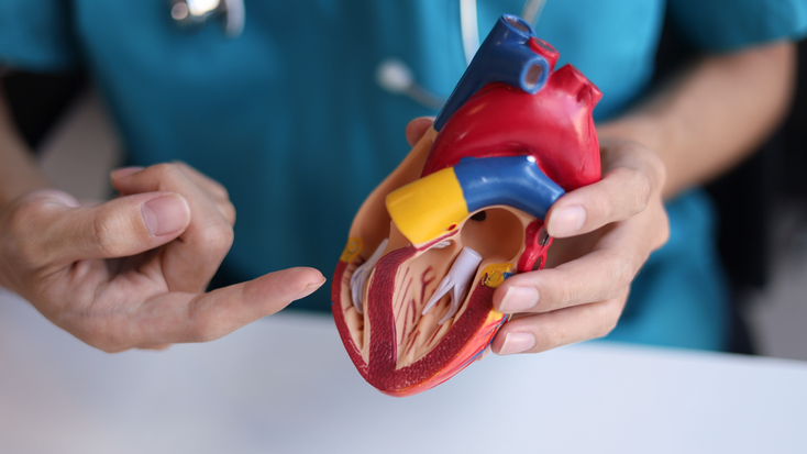 cardiovascular-ttvr-2713248727.jpg
