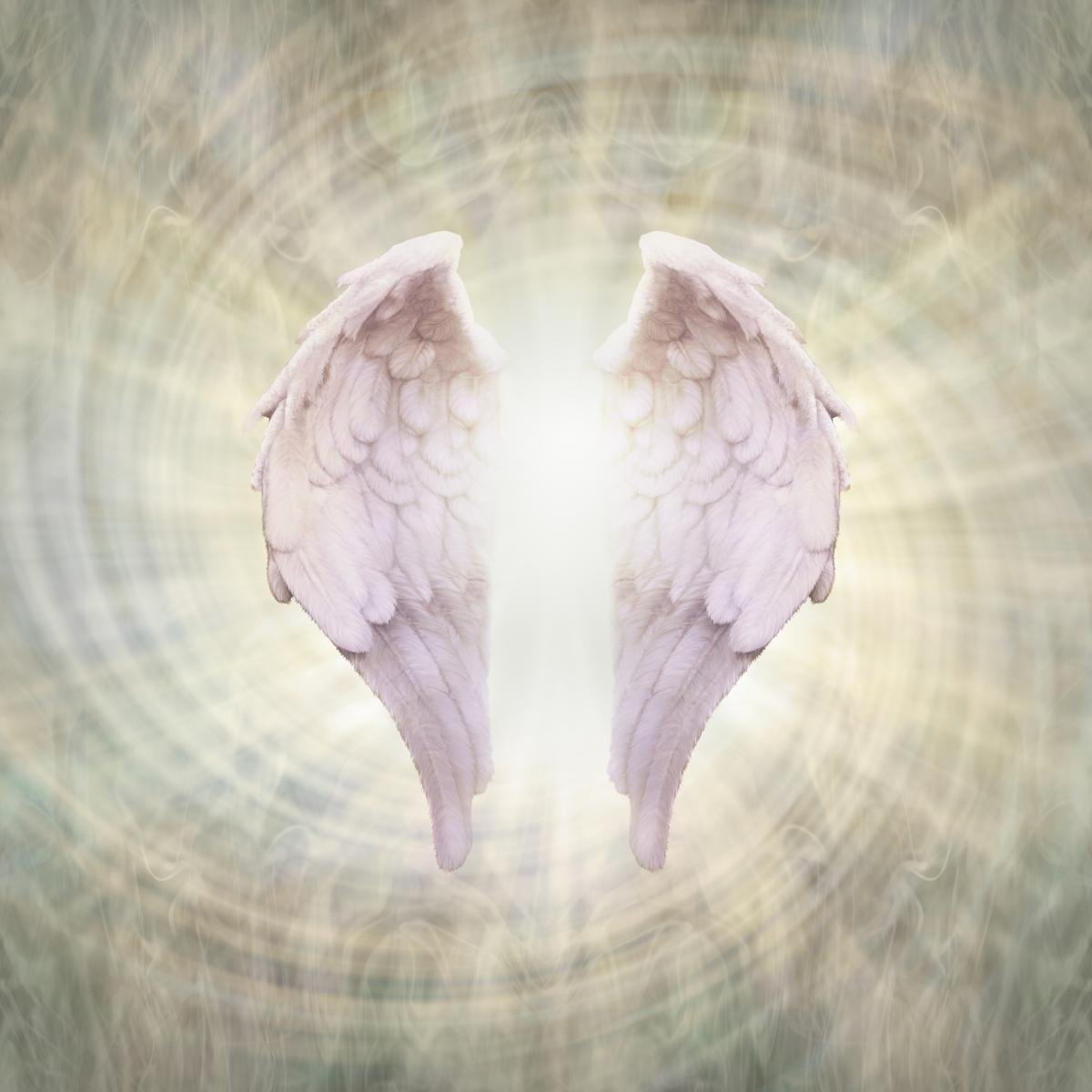 angel-wings.jpg