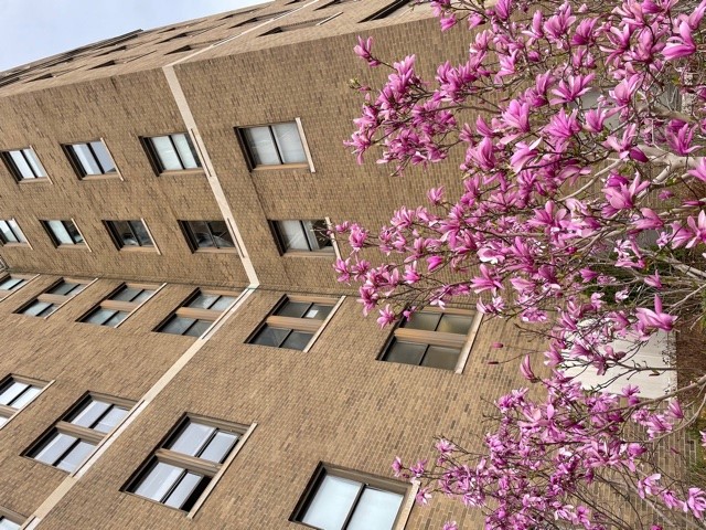 sfmccon-building-2.jpg