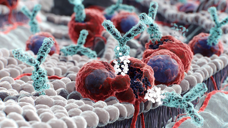Medical Oncology