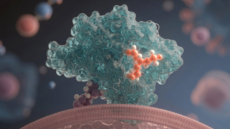 cancer-medical-oncology-KRAS-Targeted.jpg