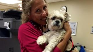 OSF St Mary Medical Center Pet Assisted Therapy Bismarck And Libby