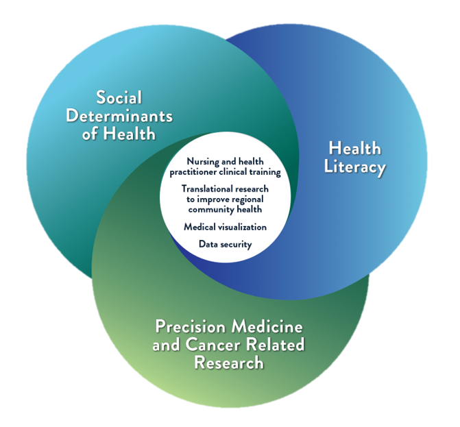 Innovation for Health RFP Themes Diagram