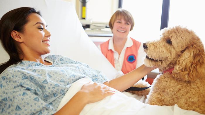 Animal Assisted Therapy | OSF Saint Elizabeth Medical Center