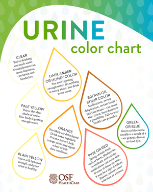 A color-coded urine chart by OSF HealthCare showing health implications for colors ranging from clear and pale yellow to dark amber, orange, red, and brown.