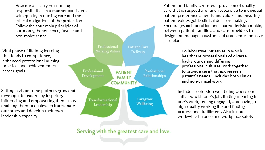 Skilled Nursing Network