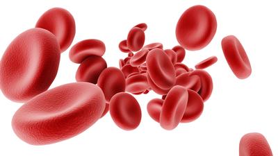 Anticoagulation |  OSF Center For Health - Streator