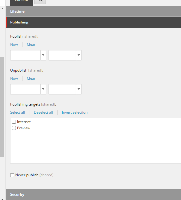 Publishing Window Screenshot