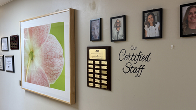 pregancy-birth-bloomington-osf-st-joseph-staff.jpg
