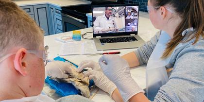 4a_Shark-Lab-Kit_650x488.jpg