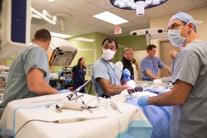 Medical students working in anatomical lab