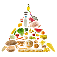 Food Pyramid