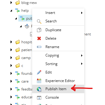 Publish Item Screenshot