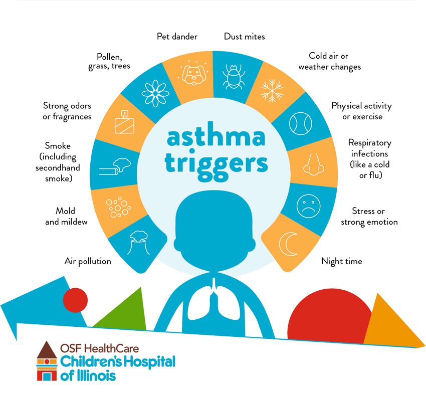 choi-Asthma-Triggers-infographic.png