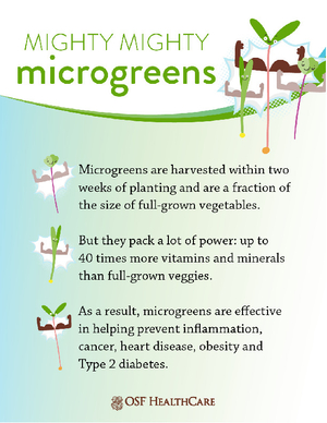 Infographic by OSF HealthCare on microgreens: they are harvested within 2 weeks, contain up to 40x more vitamins than mature veggies, and help prevent chronic diseases like cancer and diabetes.
