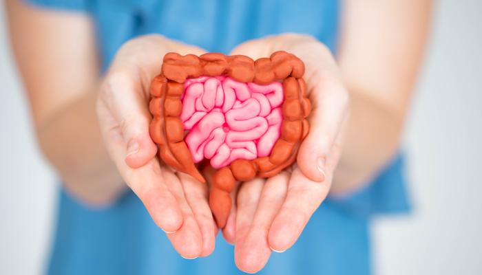 Why is gut health important?