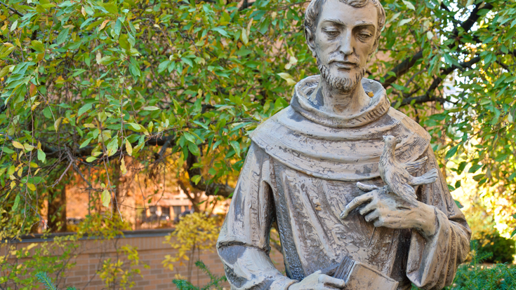 hero-compliance-st-francis-statue.jpg