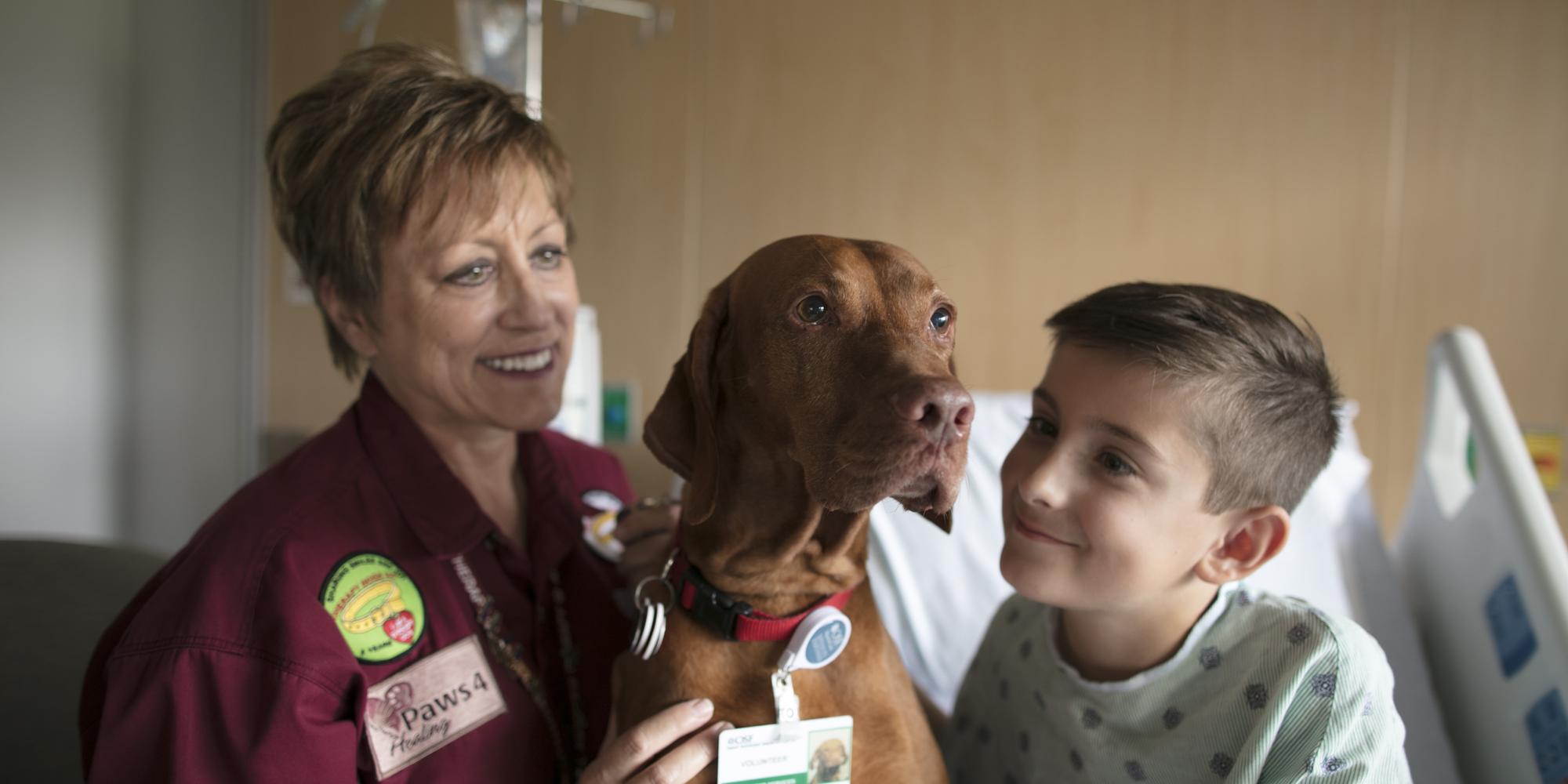 Foundation Volunteer Dog Banner