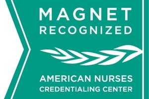 nursing-magnet_logo.jpg