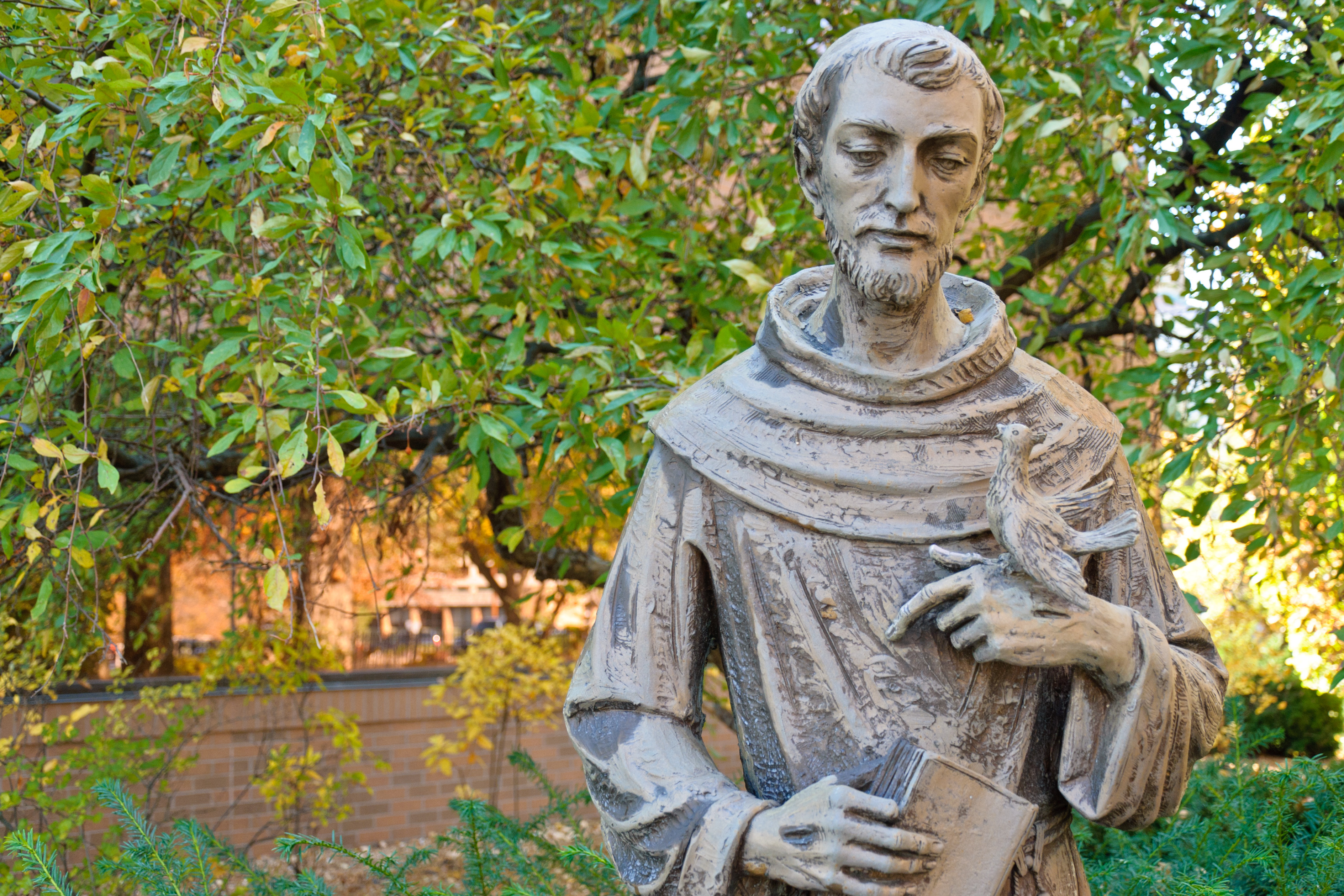 Saint Francis of Assisi statue