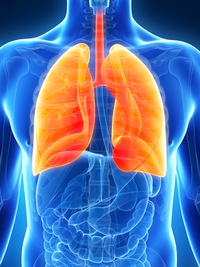lungs2.jpg__200x300_q100_subject_location-250,193_subsampling-2.jpg